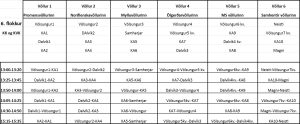 Leikjaplan 6. fl. kk og kvk, Strandarmót 2015
